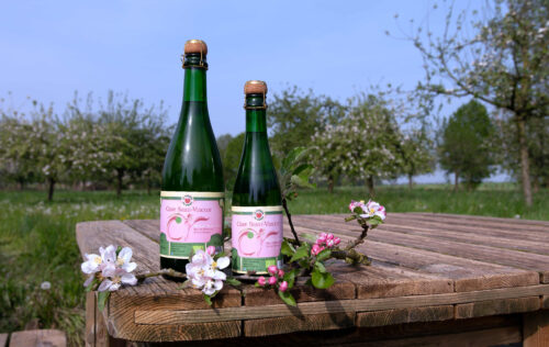 Cidre Saint-Vincent - Verger du Sirieu